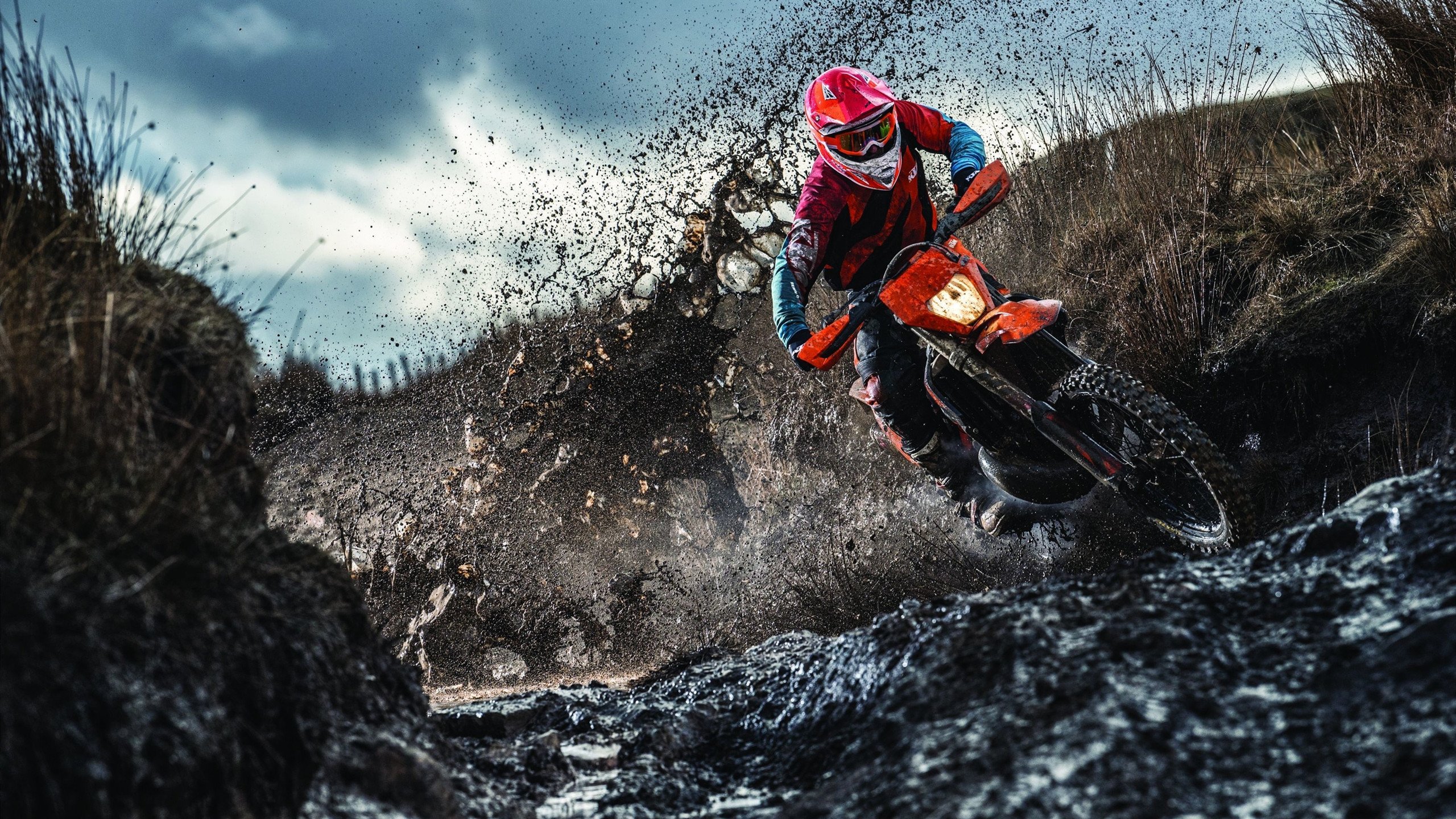 巴黎奥运会倒计时，全球健儿备战冲刺，东道主筹备进入最后阶段